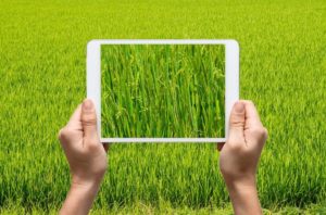 agence-de-communication-agricole